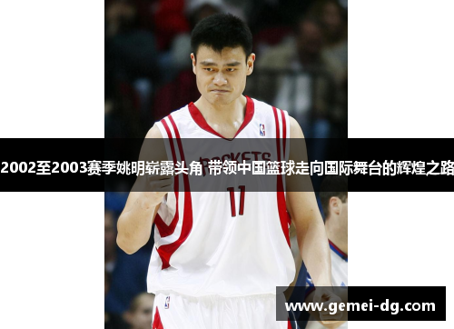 2002至2003赛季姚明崭露头角 带领中国篮球走向国际舞台的辉煌之路
