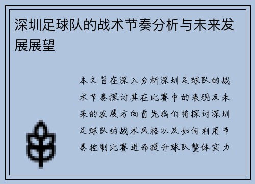 深圳足球队的战术节奏分析与未来发展展望