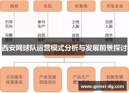 西安网球队运营模式分析与发展前景探讨